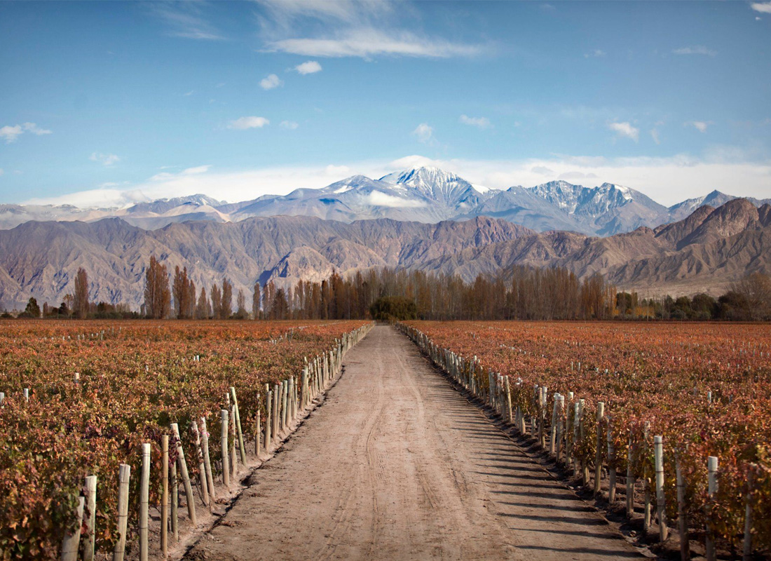 de las bodegas, distrito chacras de coria, departamento lujan de cuyo, mendoza, 5505, argentina