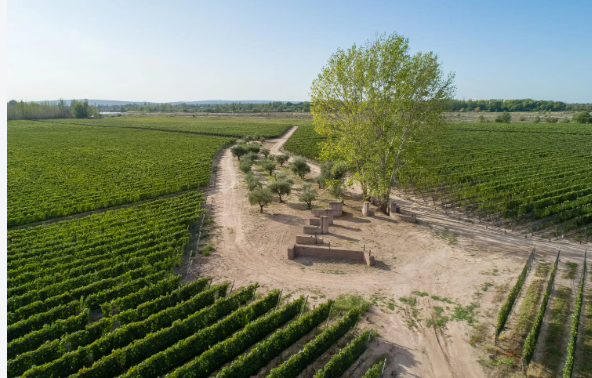 finca bandini