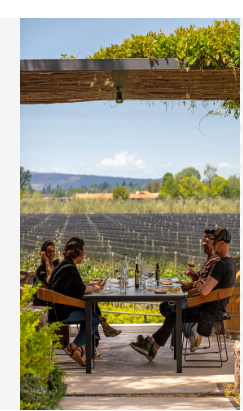 finca bandini